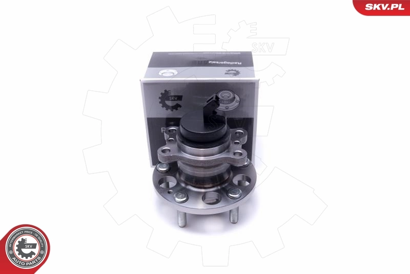 Wheel Bearing Kit